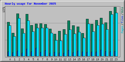 Hourly usage for November 2025