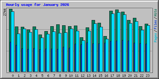 Hourly usage for January 2026
