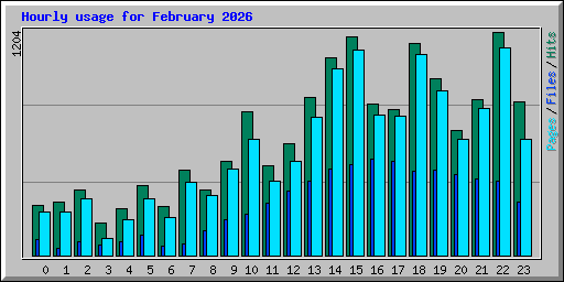 Hourly usage for February 2026